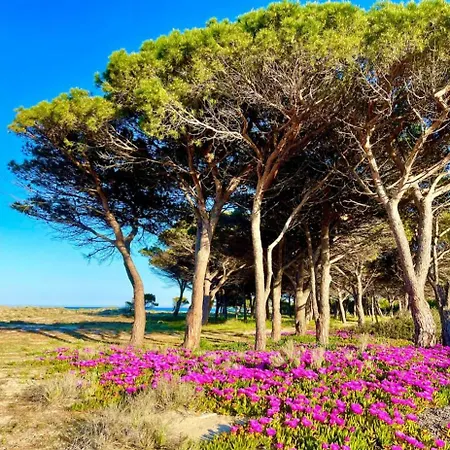 Hébergement de vacances Sorres De Mare