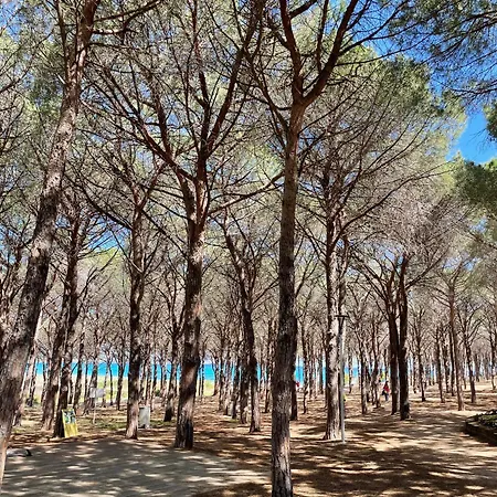 Sorres De Mare 펜션 부도니