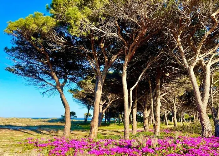 Дом отдыха Sorres De Mare